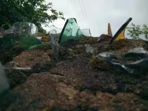 你知道吗？这种可回收物不是一般的值钱