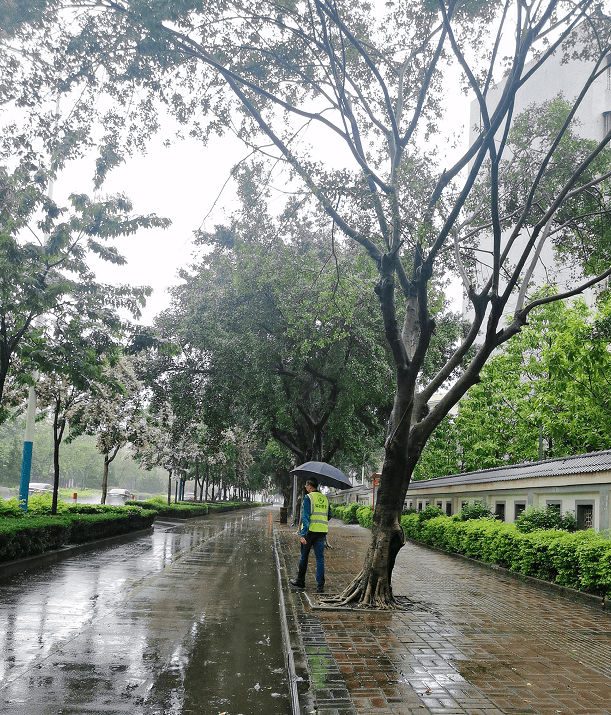 “花香扰民”遭投诉，“环保管家”速处理