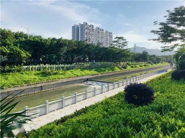 破解环境治理难题，永和街“环保管家”有实效！